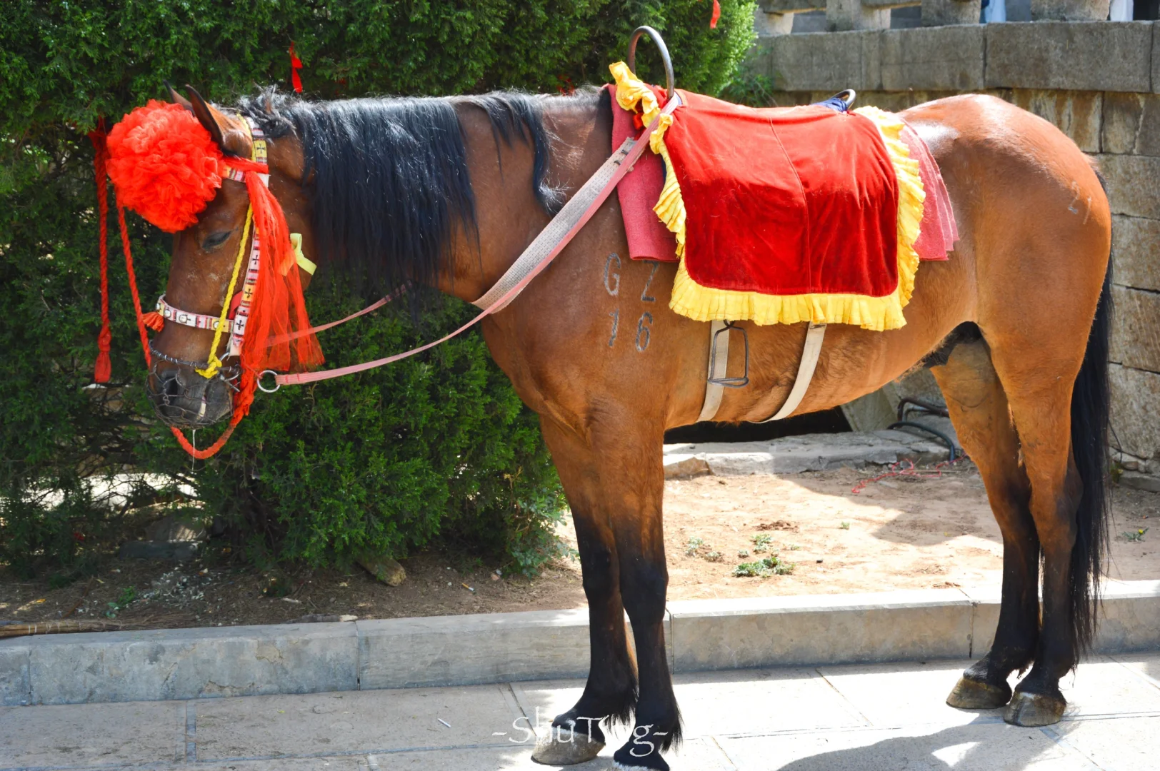 邯郸｜太行山脉被低估的小众5A景区娲皇宫⛰️