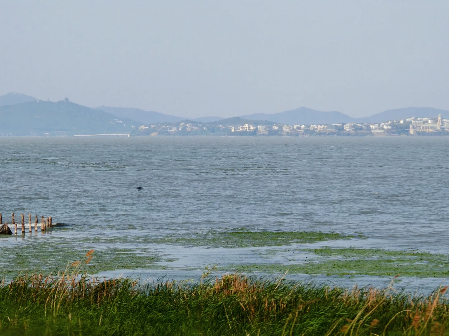 这不是镰仓，是全长393公里的太湖🌊