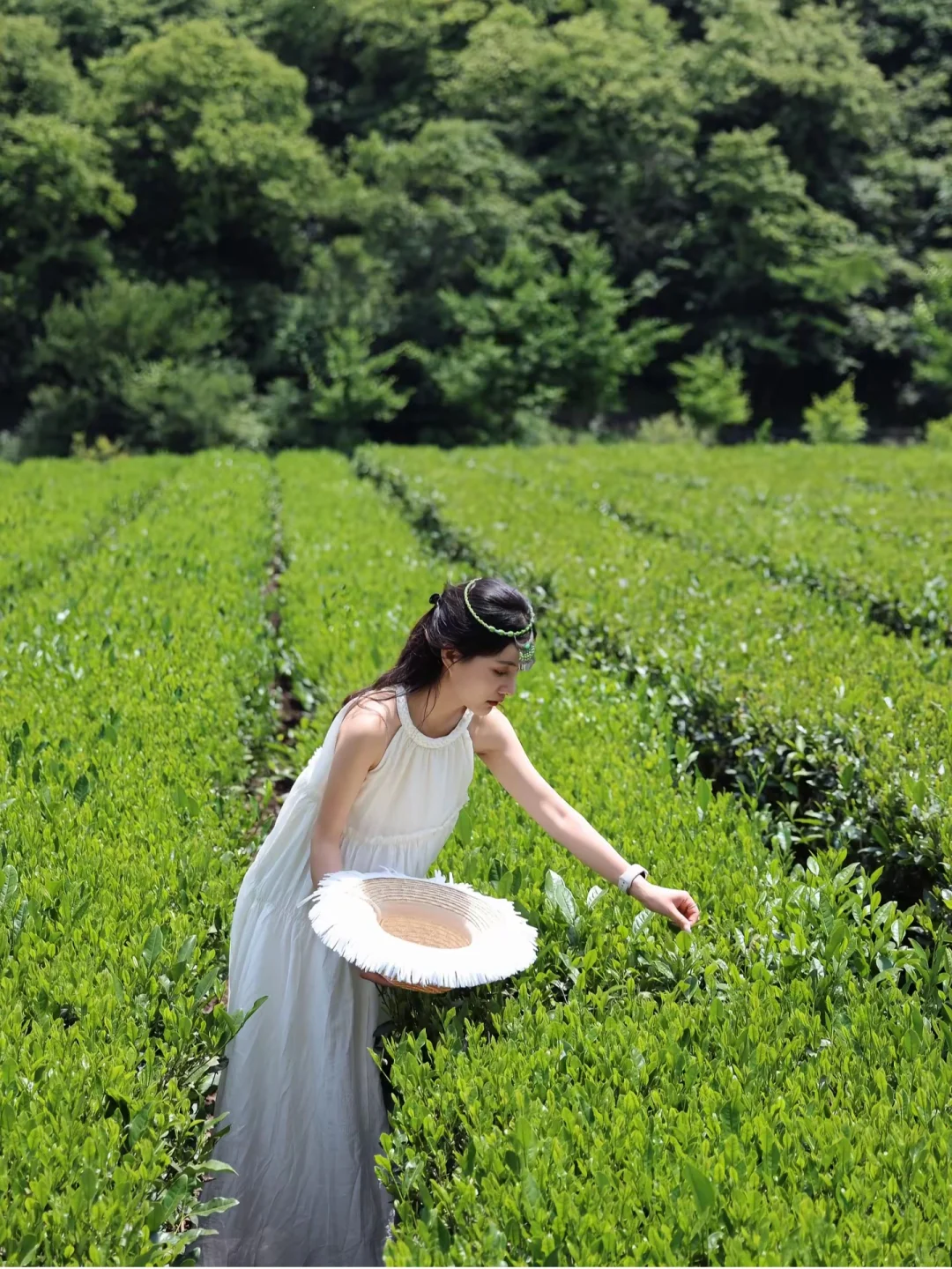陇南五一出行攻略 | 被严重低估的陇上江南