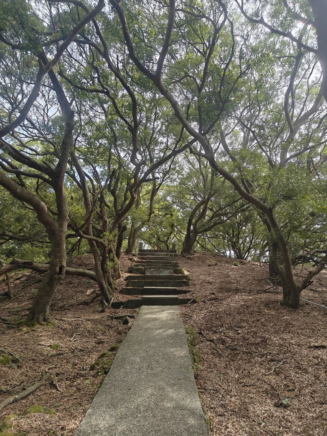 福州到台湾马祖两天两夜旅游攻略