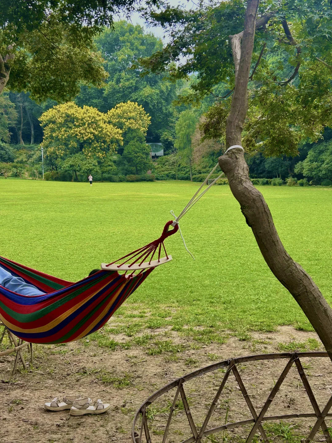 五一在南京不想人挤人！快去这9️⃣个小众景点