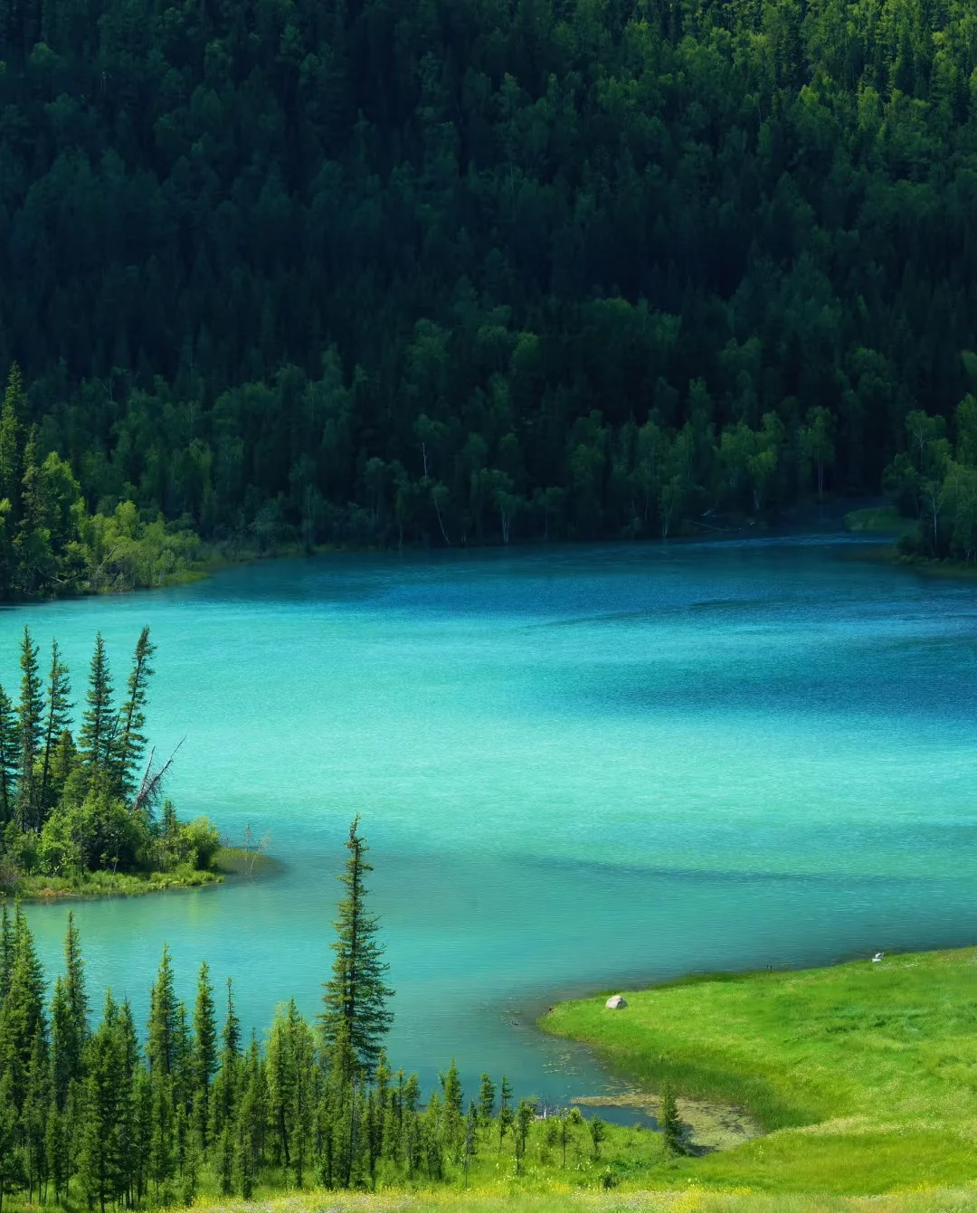 从新疆回来后，我的相册成了“视觉暴击”