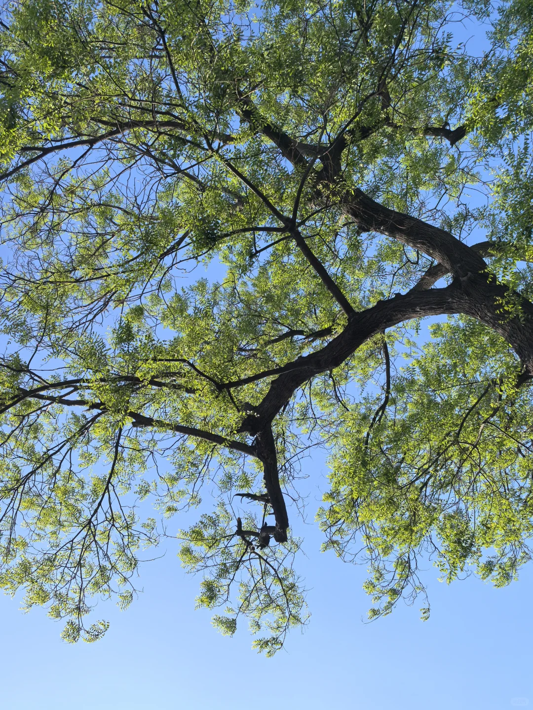 『北京游』被爸妈夸的旅游攻略！！