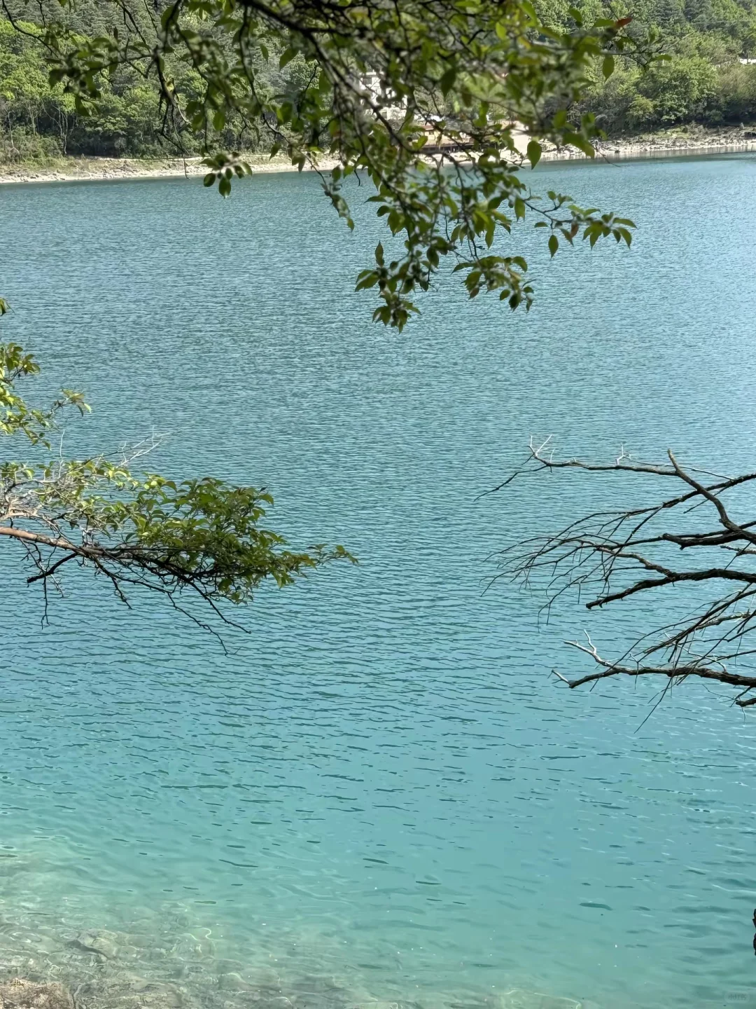 陇南五一出行攻略 | 被严重低估的陇上江南