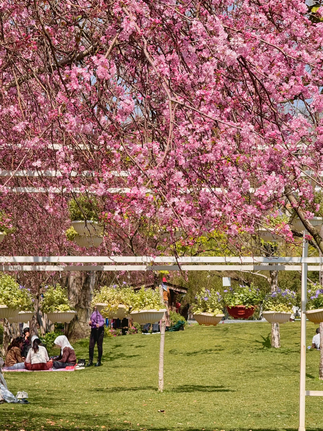 昆明你以为很贵，其实免费的9个牛逼地方……