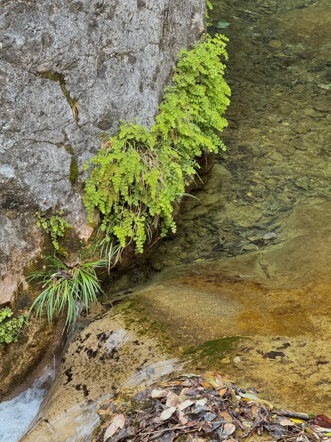十堰你糊涂啊😯“小九寨沟”这么美不宣传