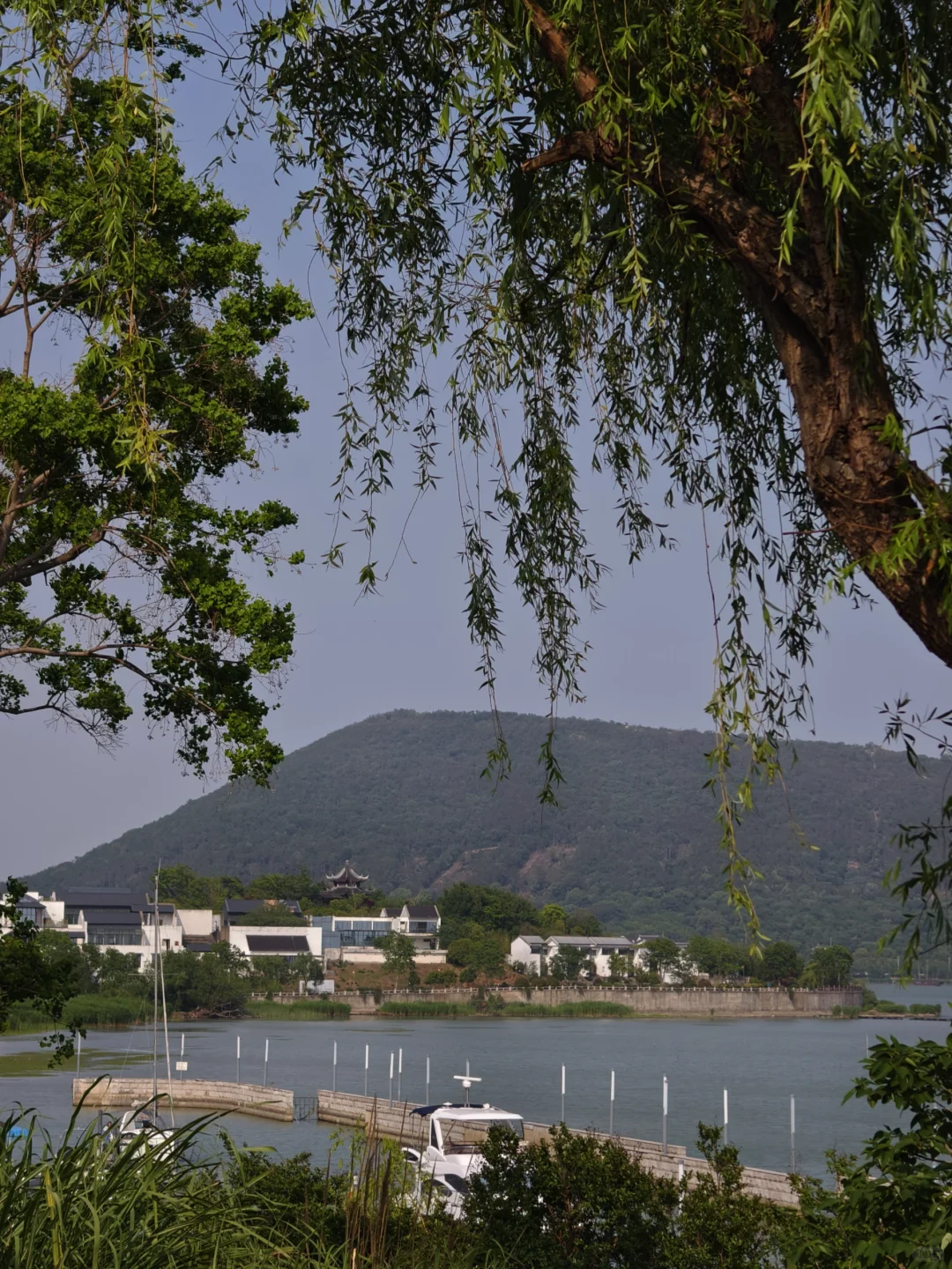 这不是镰仓，是全长393公里的太湖🌊