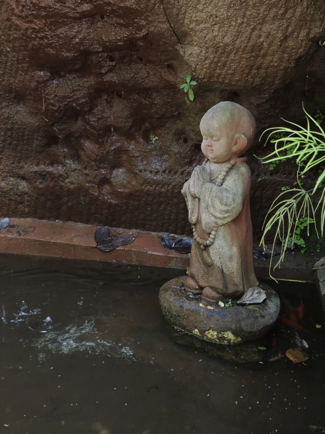 五一乐山大佛实况：人从众众众众众