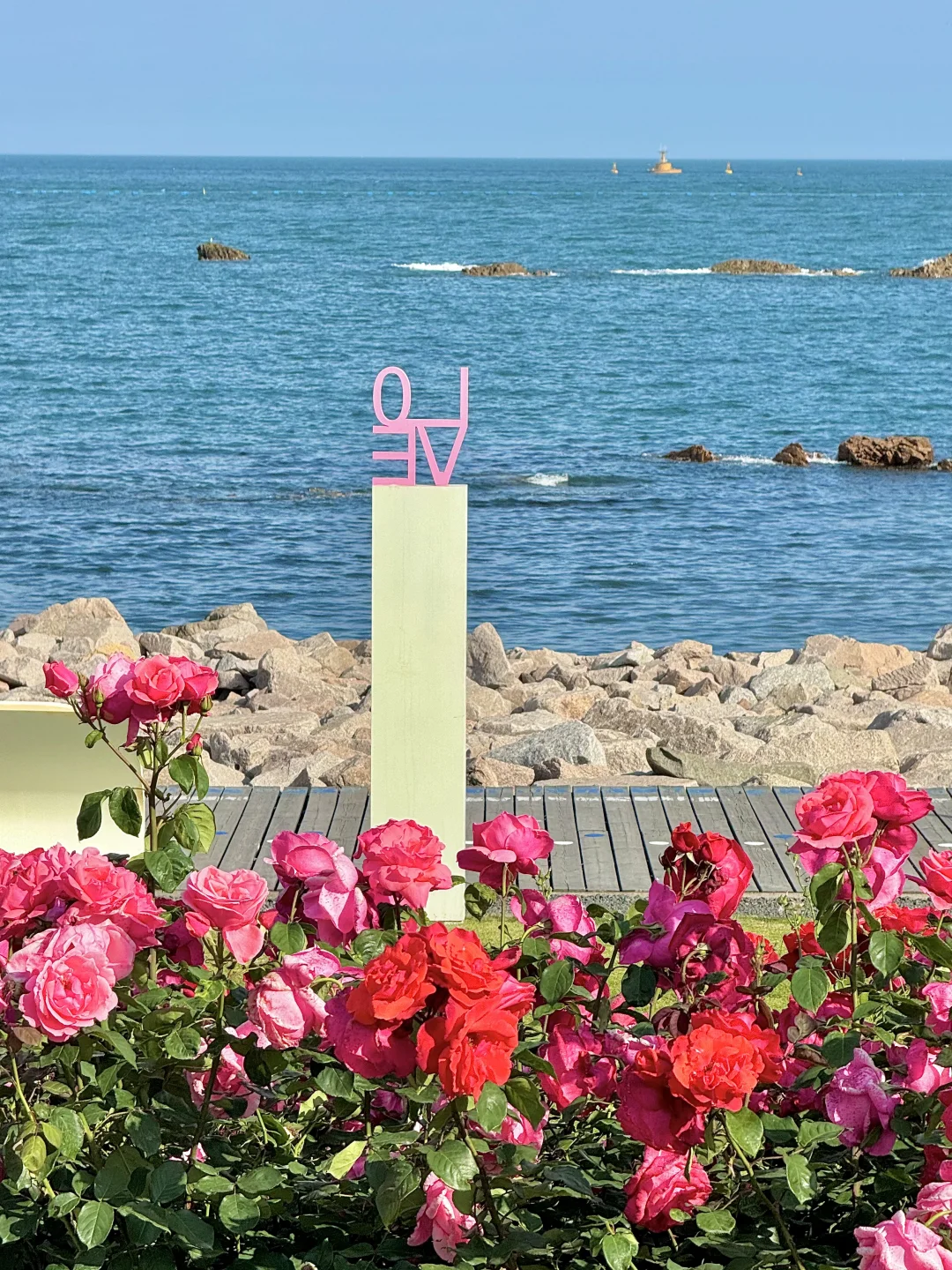 青岛！！听劝没去小麦岛！！这里美哭了😭