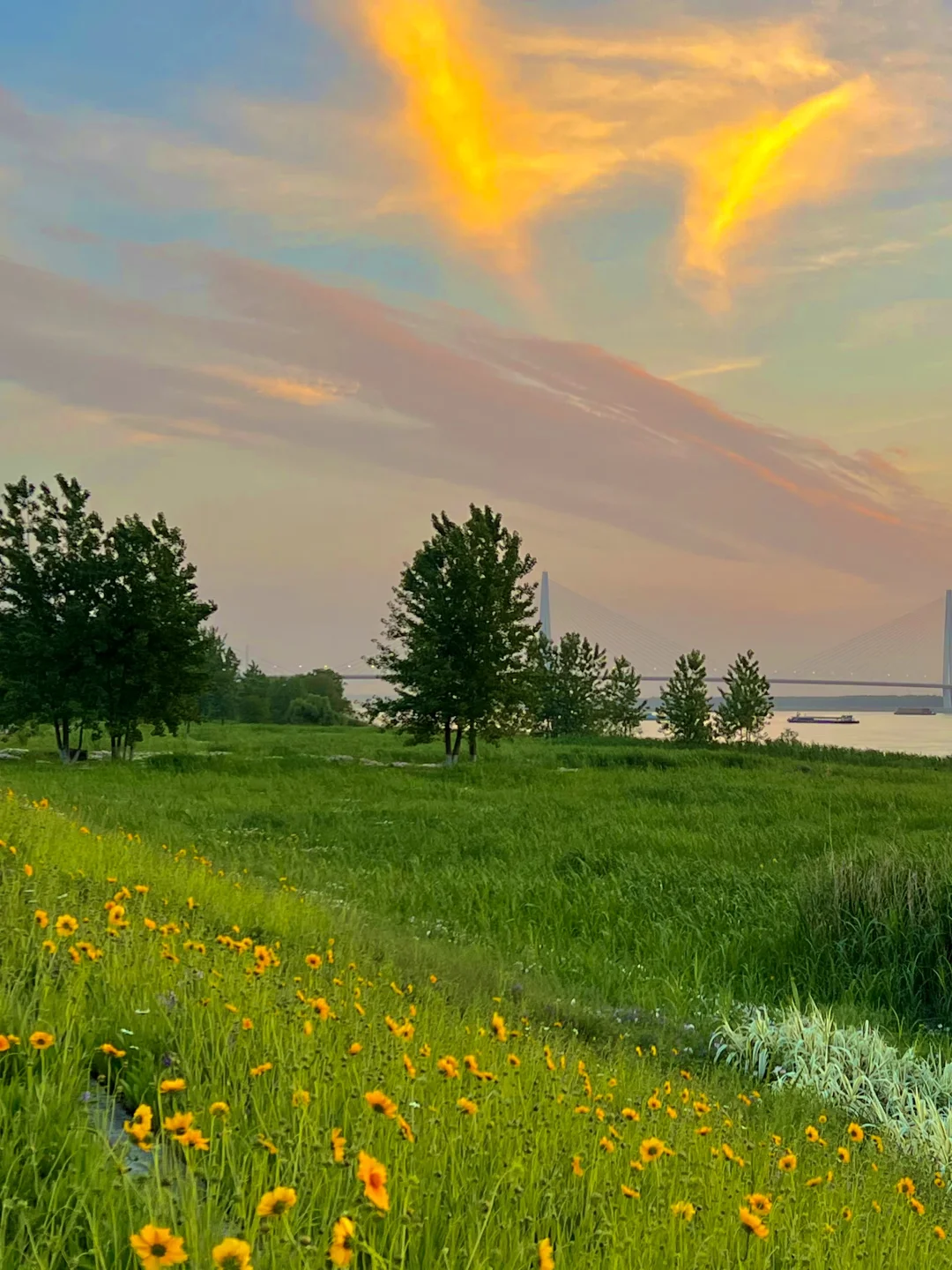 五一在南京不想人挤人！快去这9️⃣个小众景点