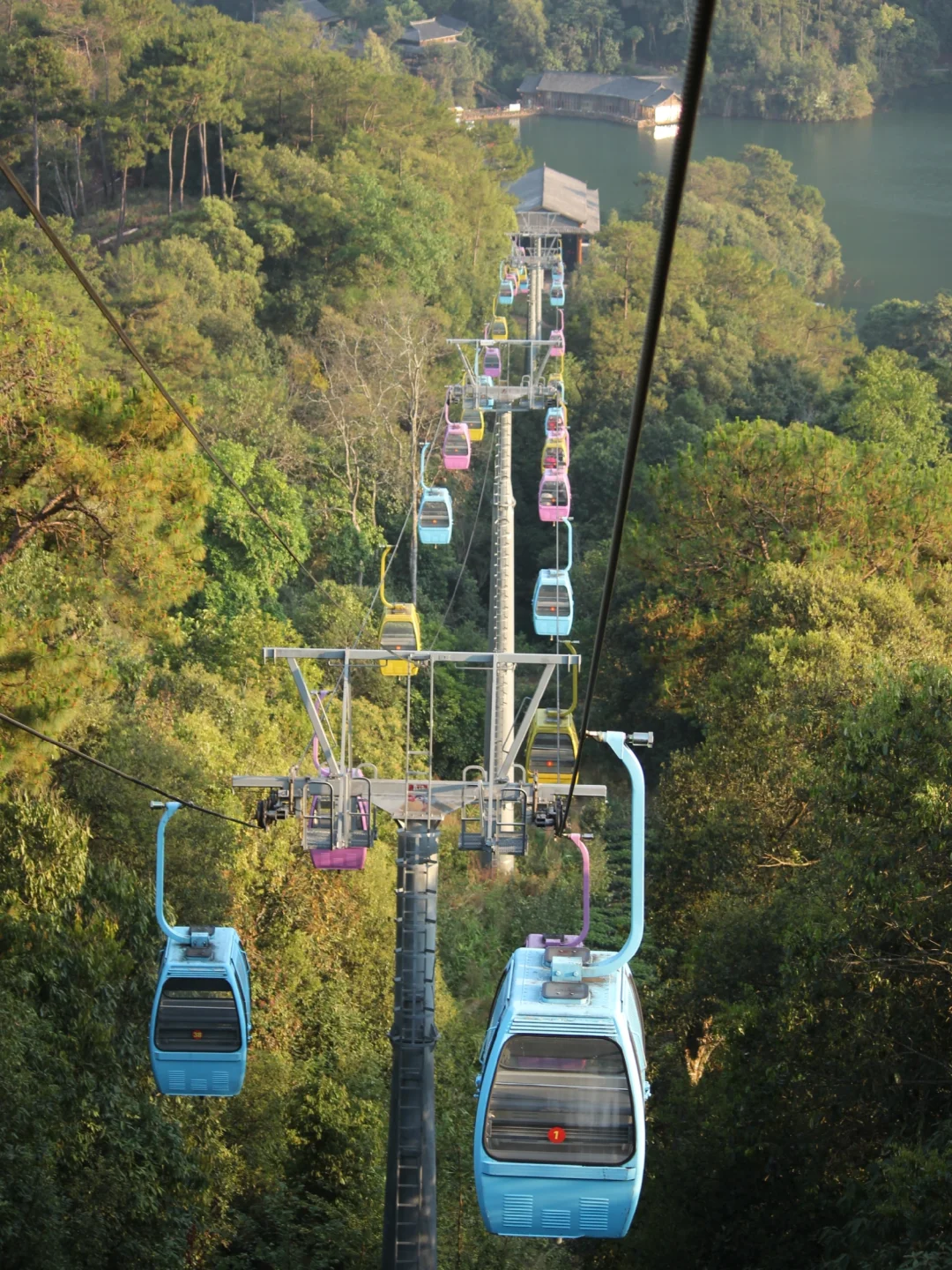 五一Get跑男同款🌿普洱茶马古