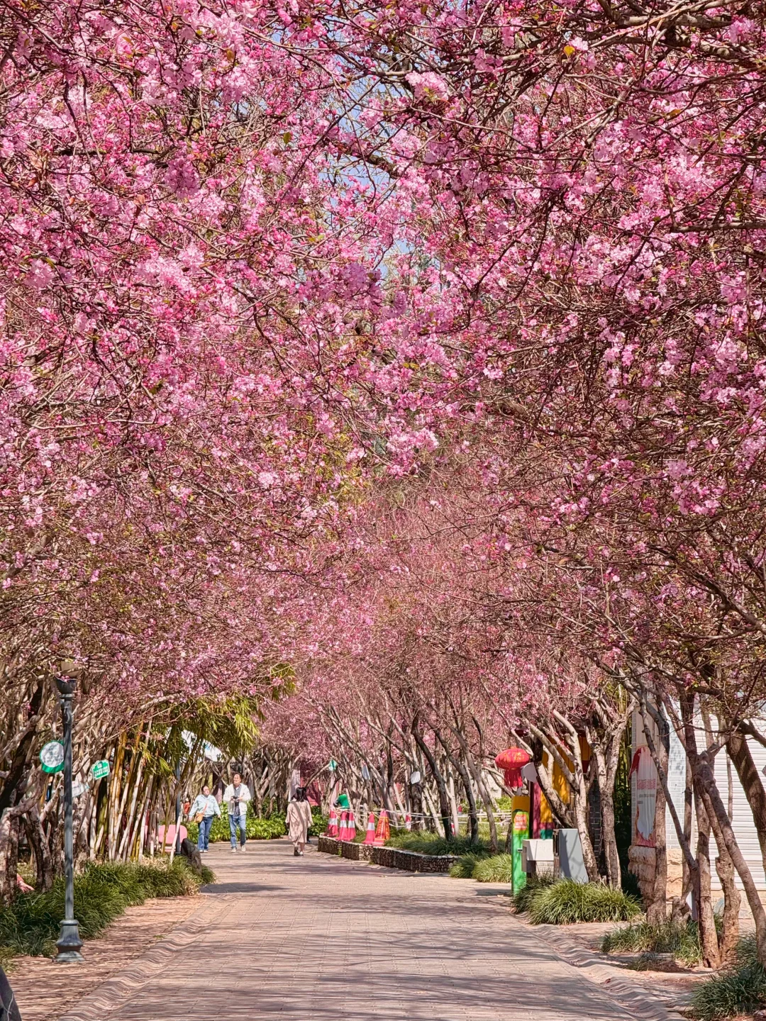 昆明你以为很贵，其实免费的9个牛逼地方……