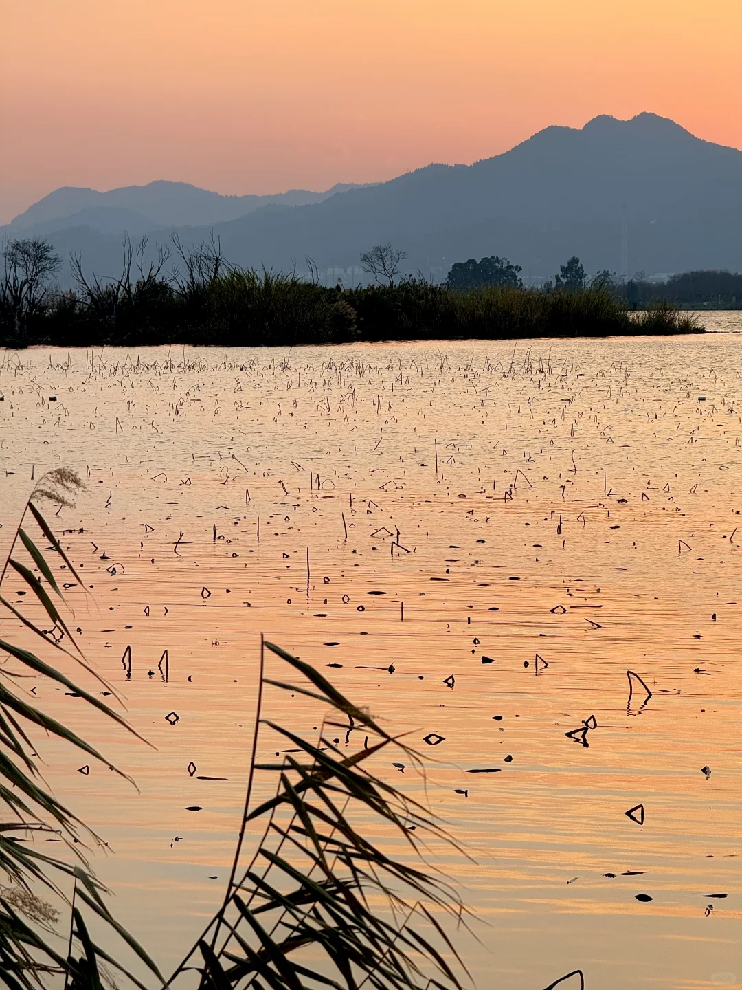 昆明你以为很贵，其实免费的9个牛逼地方……