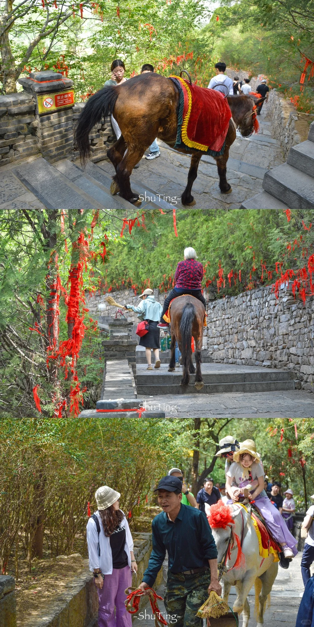 邯郸｜太行山脉被低估的小众5A景区娲皇宫⛰️