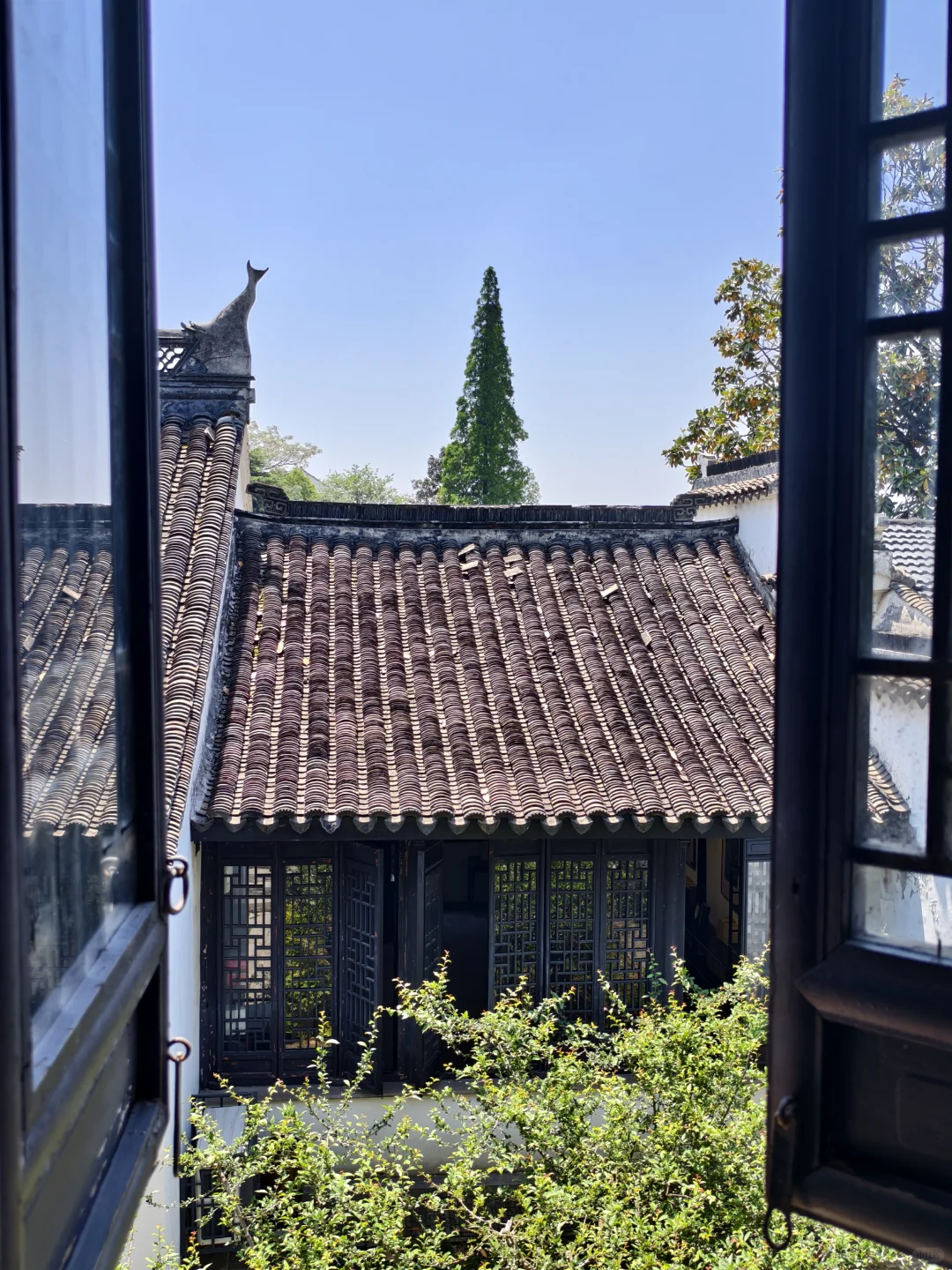 这不是镰仓，是全长393公里的太湖🌊