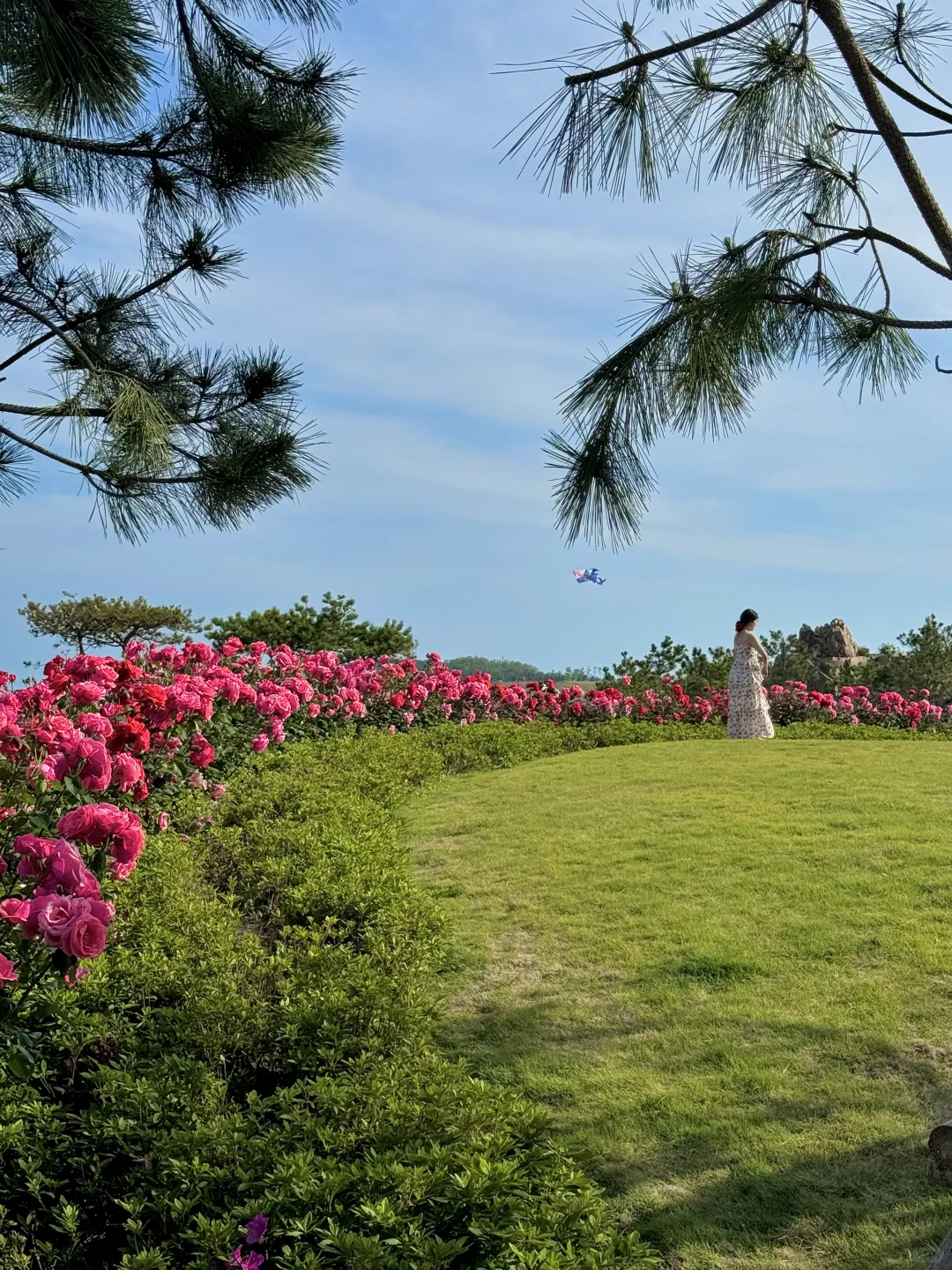 青岛！！听劝没去小麦岛！！这里美哭了😭