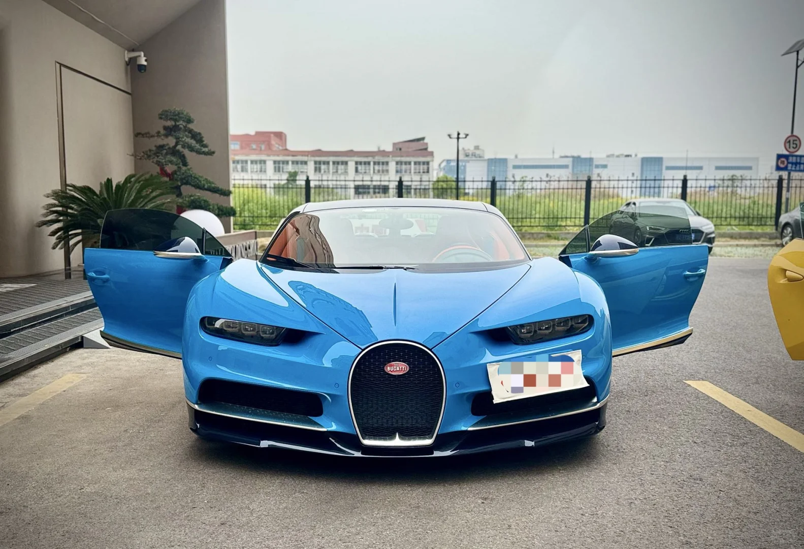 布加迪赤龙45w一天