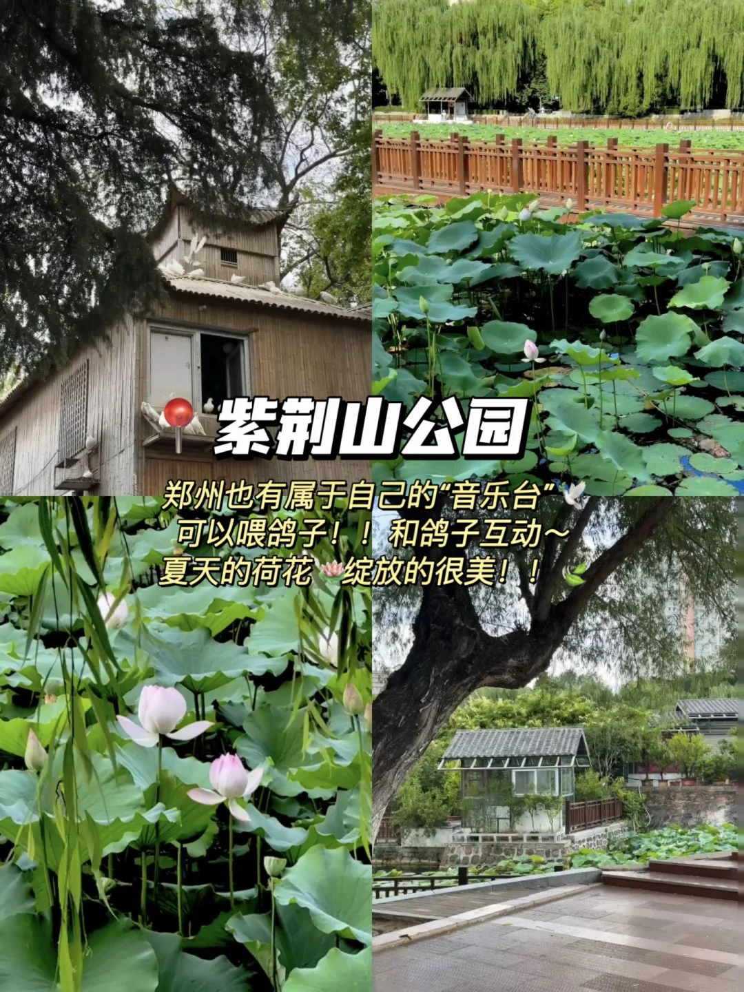 郑州📍适合citywalk16个地方(五一最终版‼️