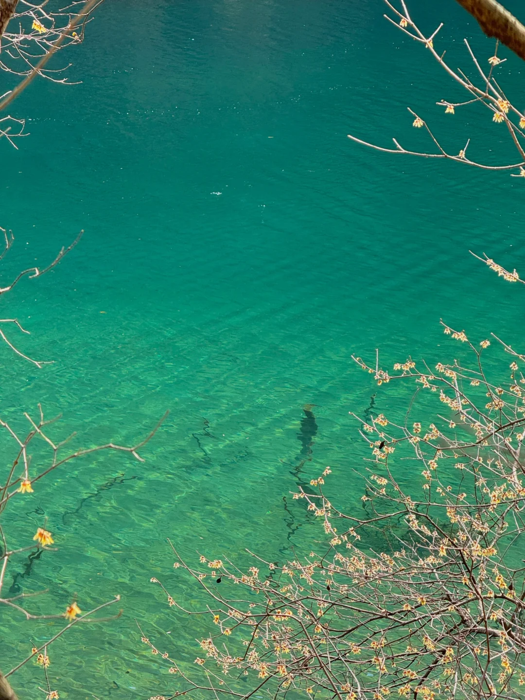 十堰你糊涂啊😯“小九寨沟”这么美不宣传