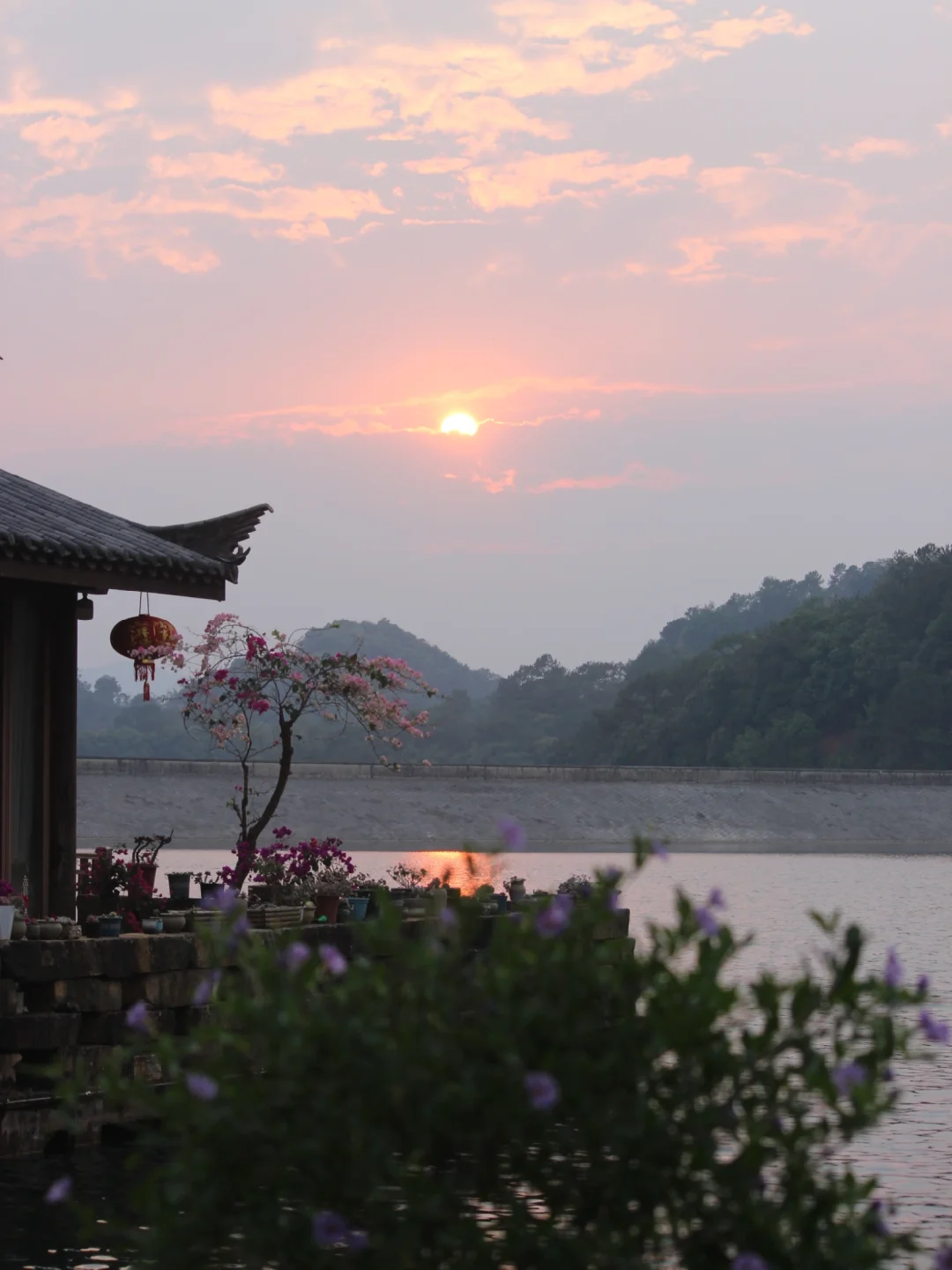五一Get跑男同款🌿普洱茶马古