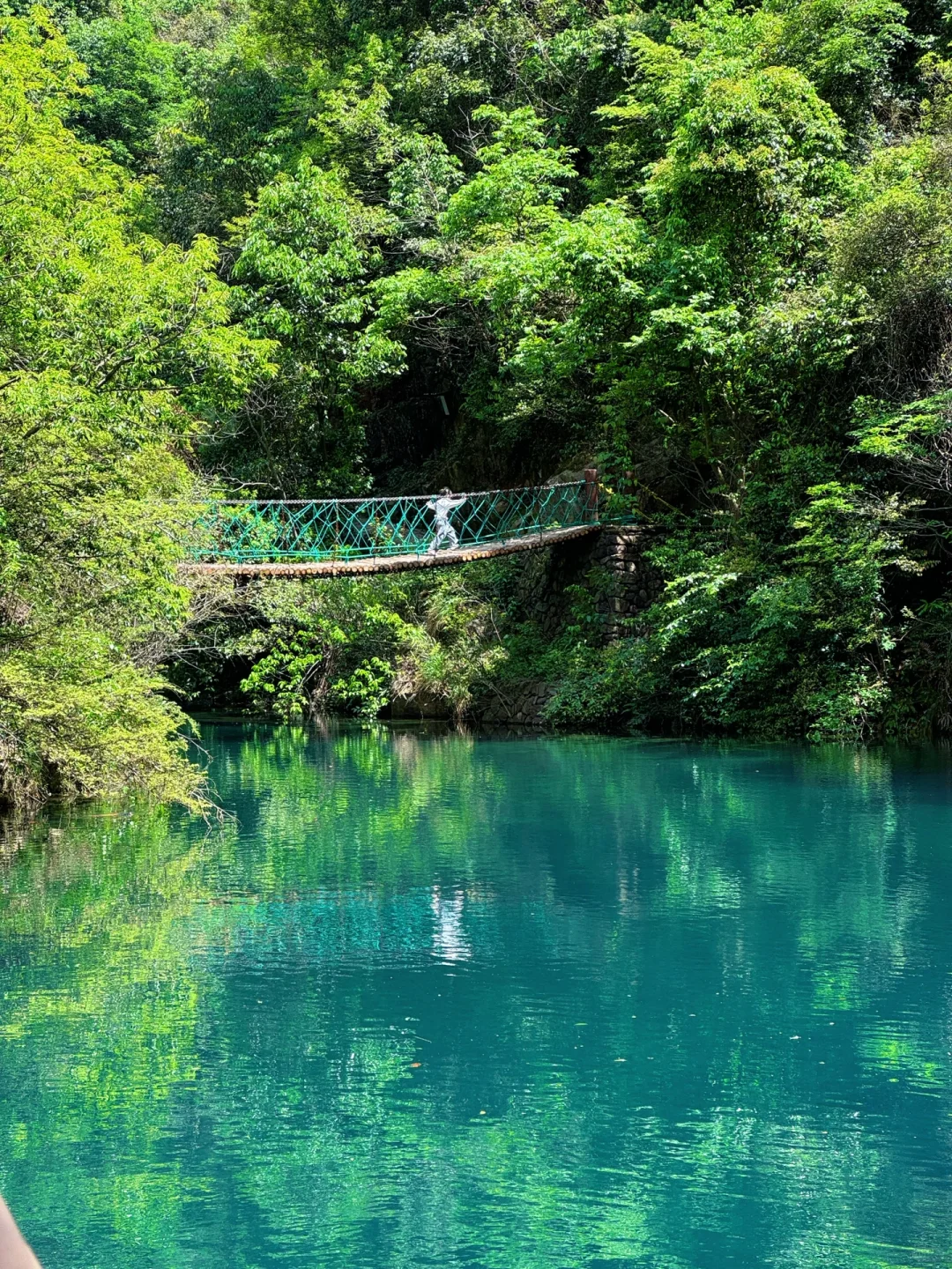 4.26live‼️小红书跟风最成功的一次