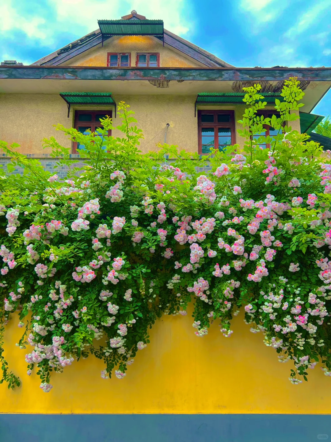 五一在南京不想人挤人！快去这9️⃣个小众景点