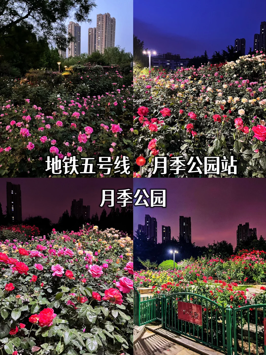 郑州旅游必打卡景点攻略，地铁五号线直达！