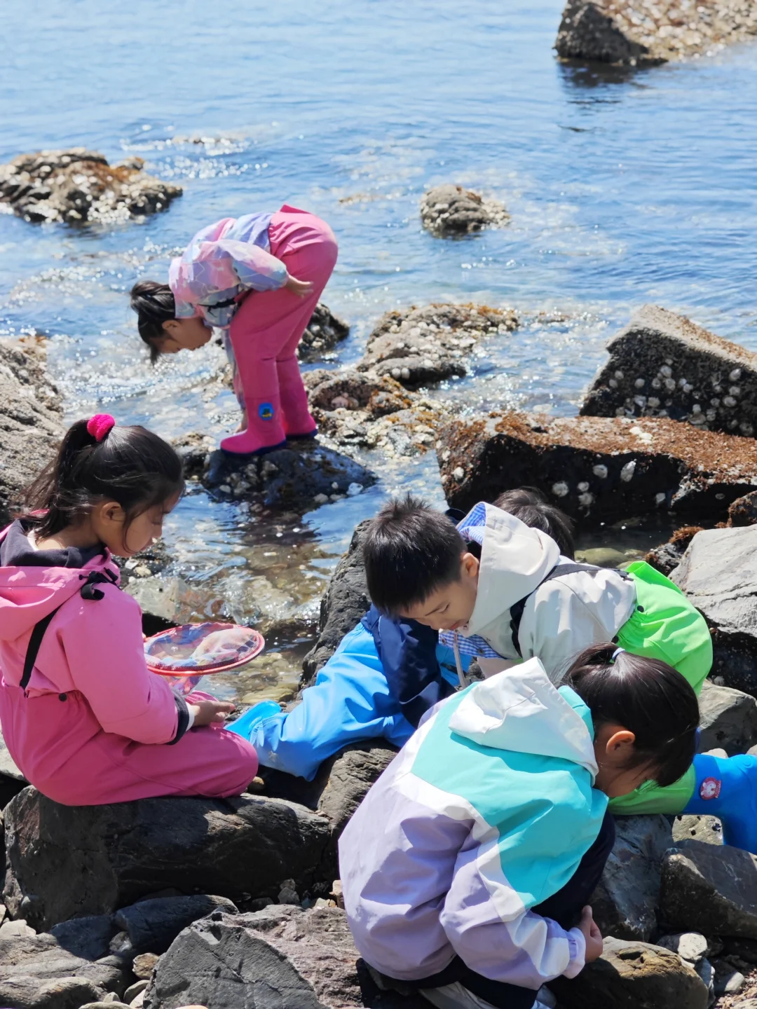 砣矶岛亲子旅游攻略