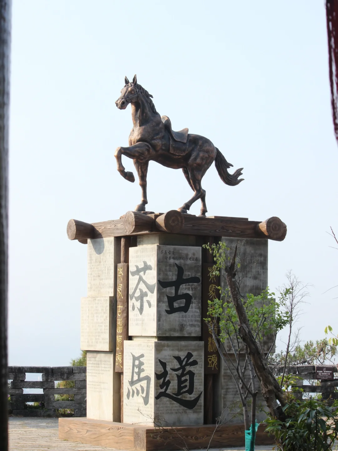 五一Get跑男同款🌿普洱茶马古