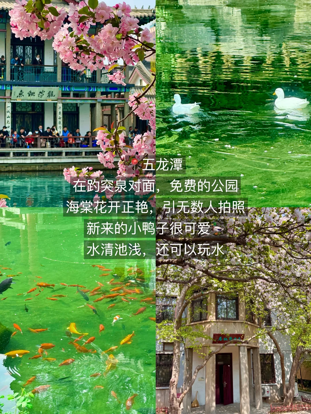 从济南回来，说点大实话😅😅😅