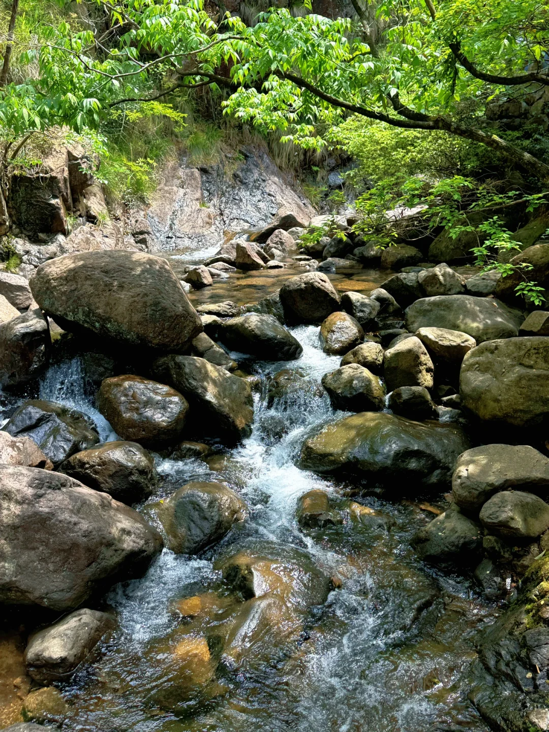 4.26live‼️小红书跟风最成功的一次