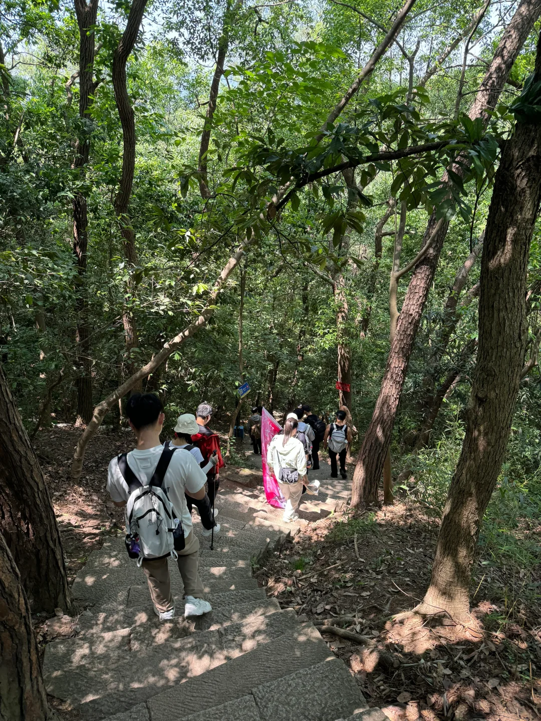 暴走西湖右爱心💗最后还能赶上西湖日落🌄