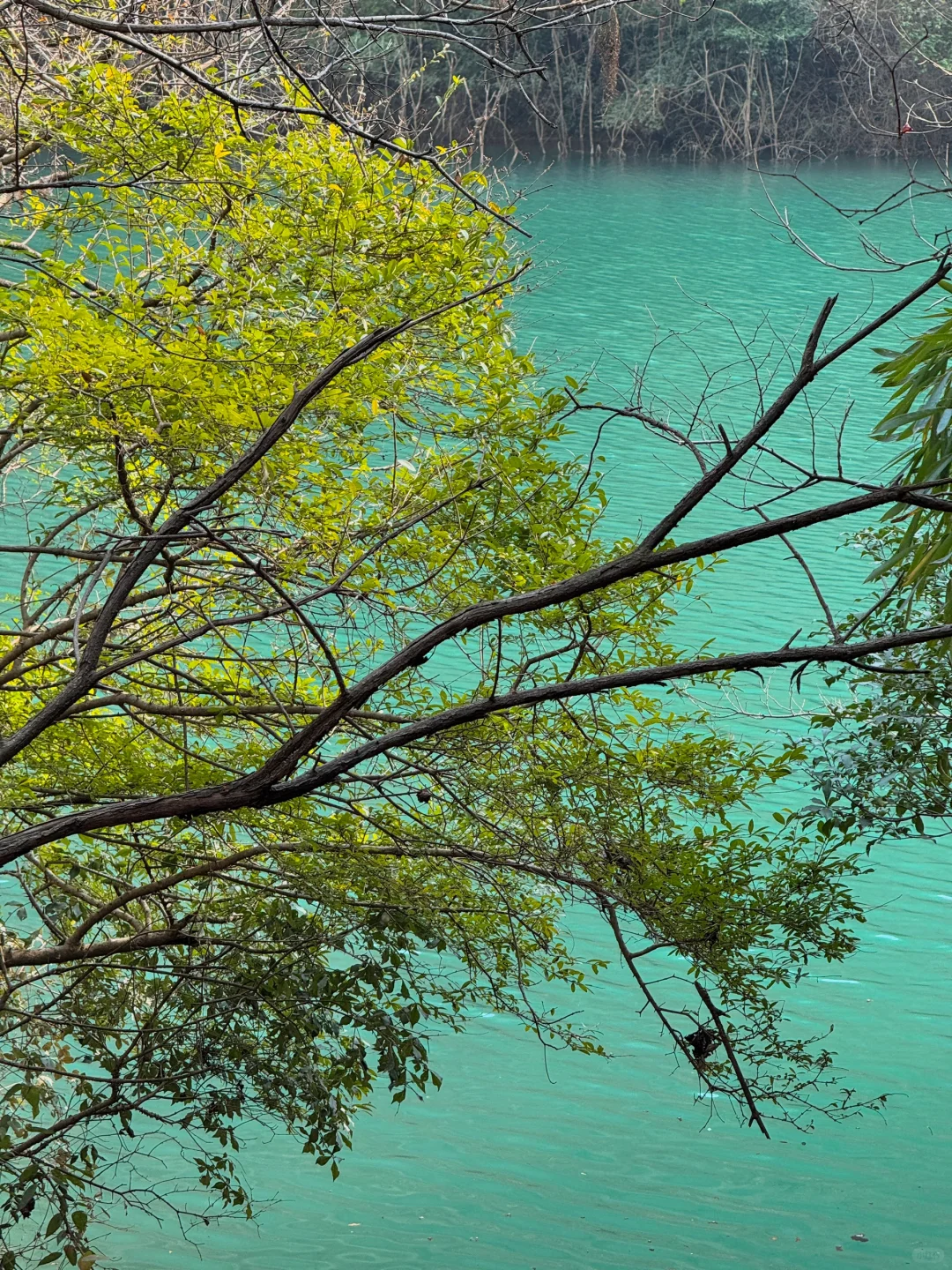 十堰你糊涂啊😯“小九寨沟”这么美不宣传