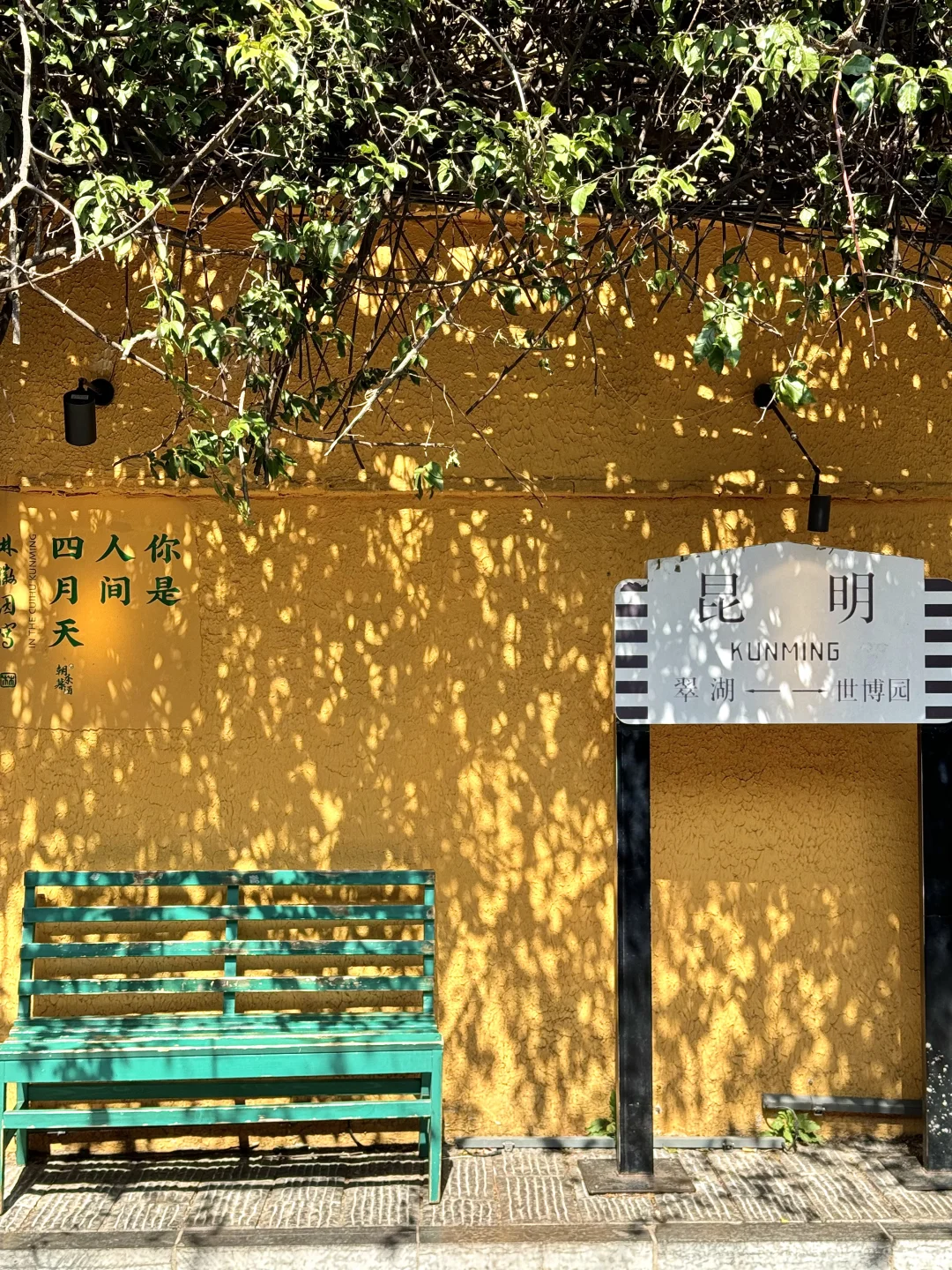 昆明你以为很贵，其实免费的9个牛逼地方……