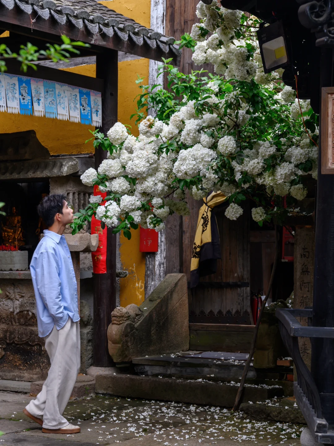 我很少用“惊艳”来形容一座寺庙……