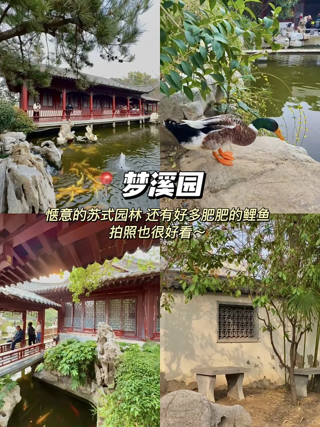 郑州📍适合citywalk16个地方(五一最终版‼️