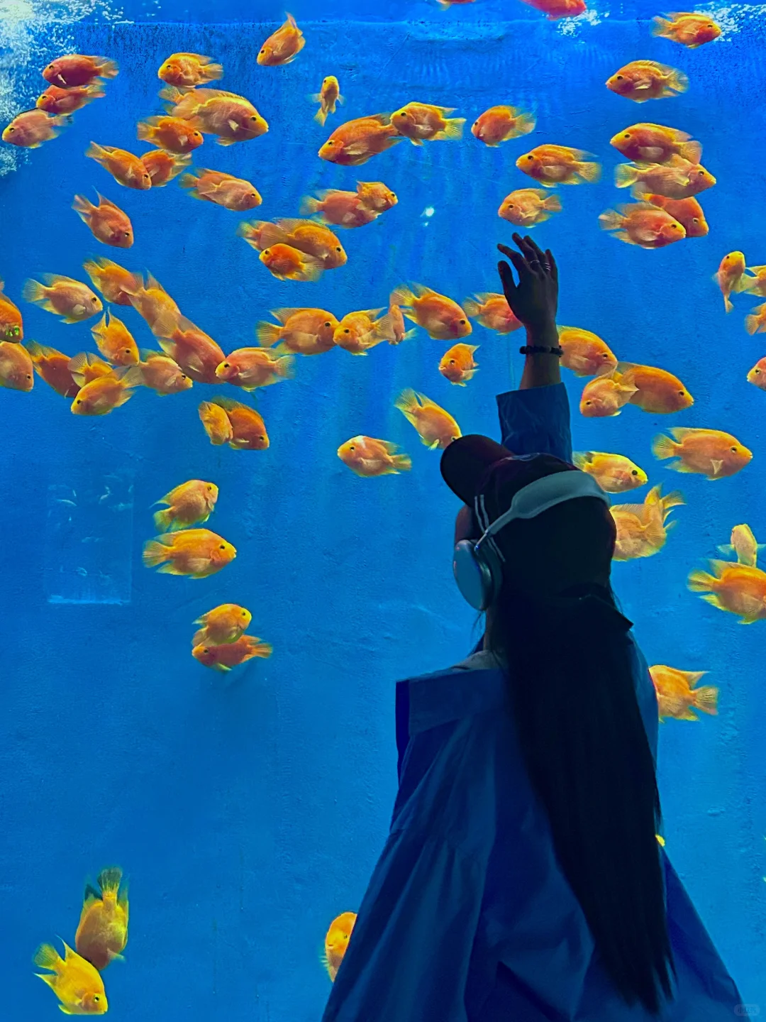 五一在南京不想人挤人！快去这9️⃣个小众景点