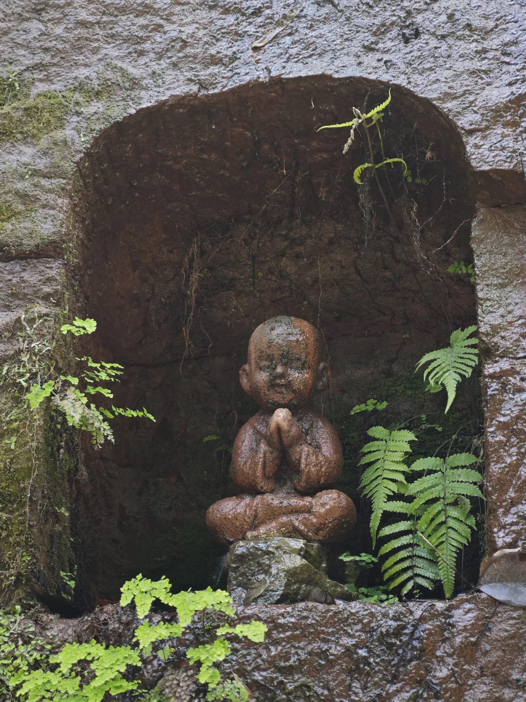 五一乐山大佛实况：人从众众众众众