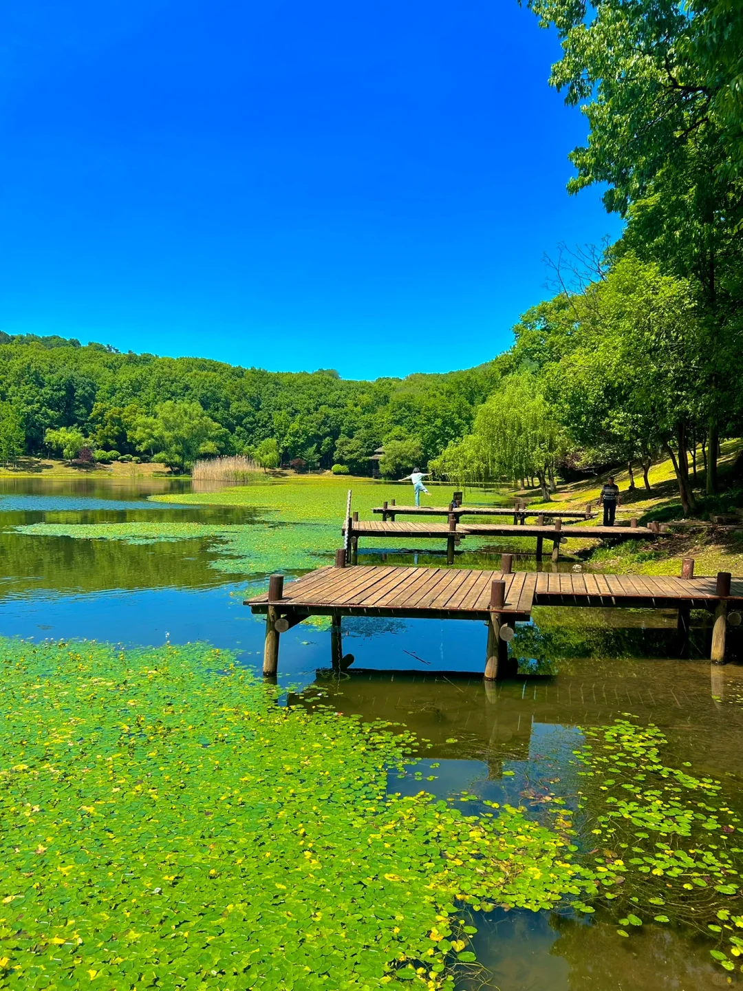 五一在南京不想人挤人！快去这9️⃣个小众景点