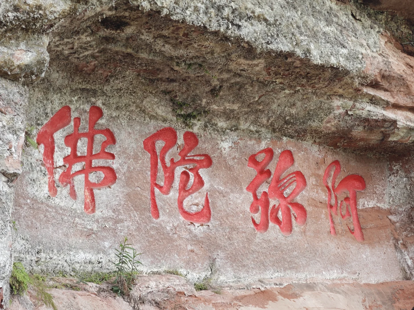 五一乐山大佛实况：人从众众众众众