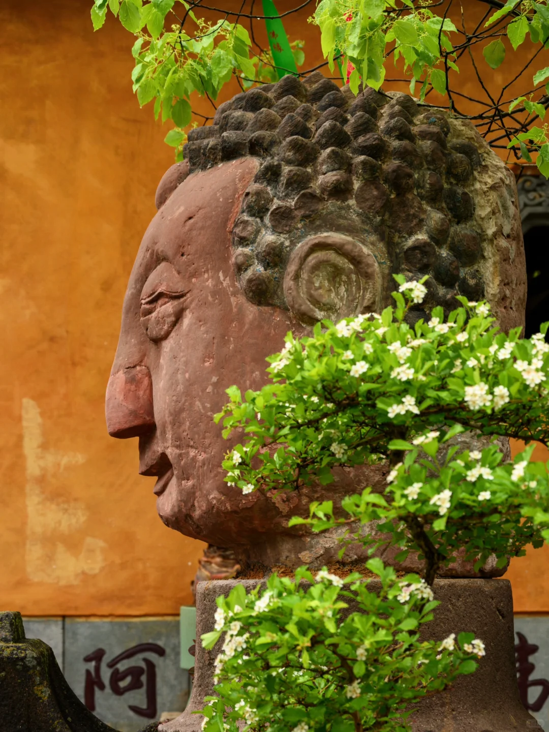 我很少用“惊艳”来形容一座寺庙……