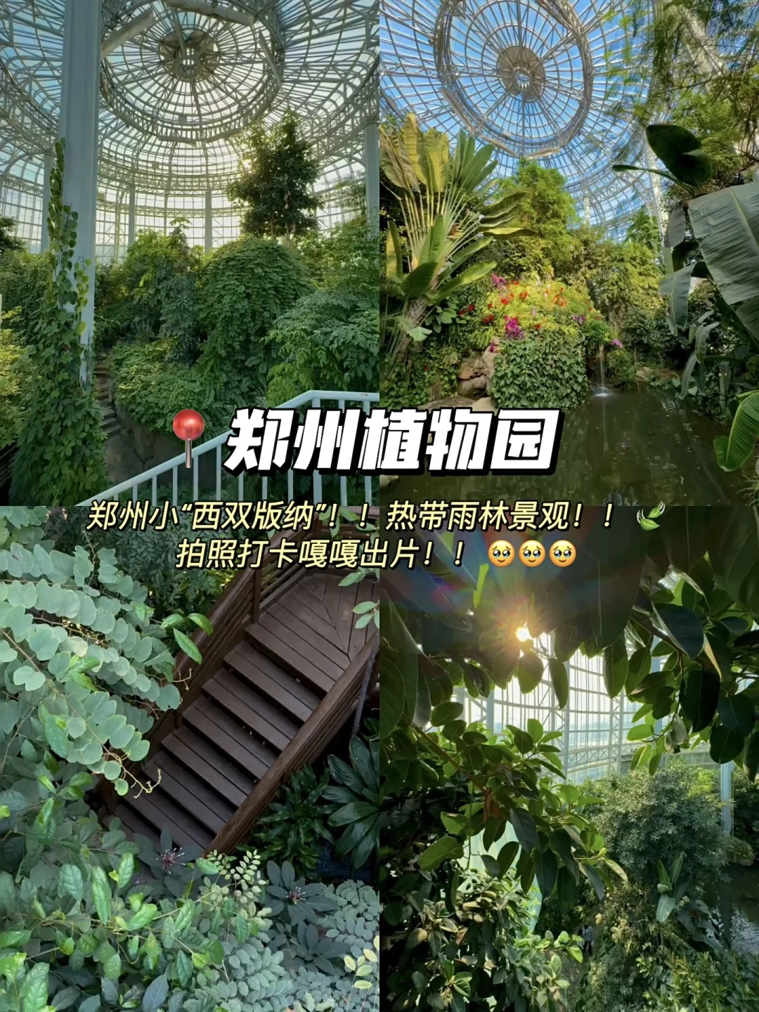 郑州📍适合citywalk16个地方(五一最终版‼️