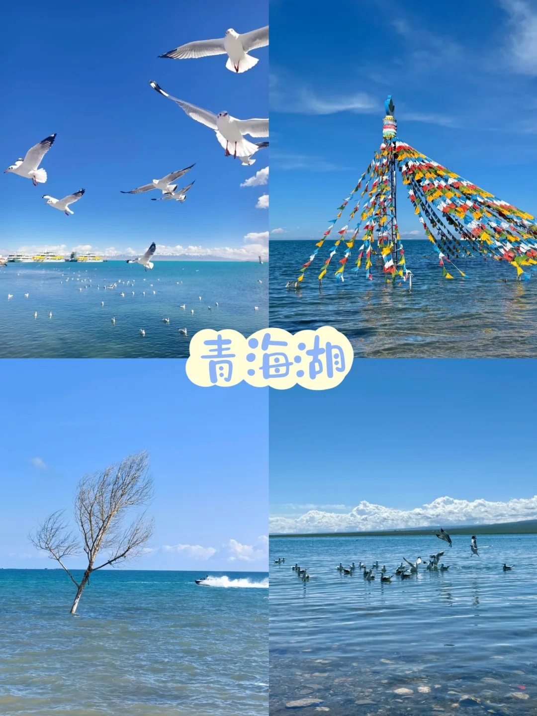 五一去青海💦2天人均580+💰左右