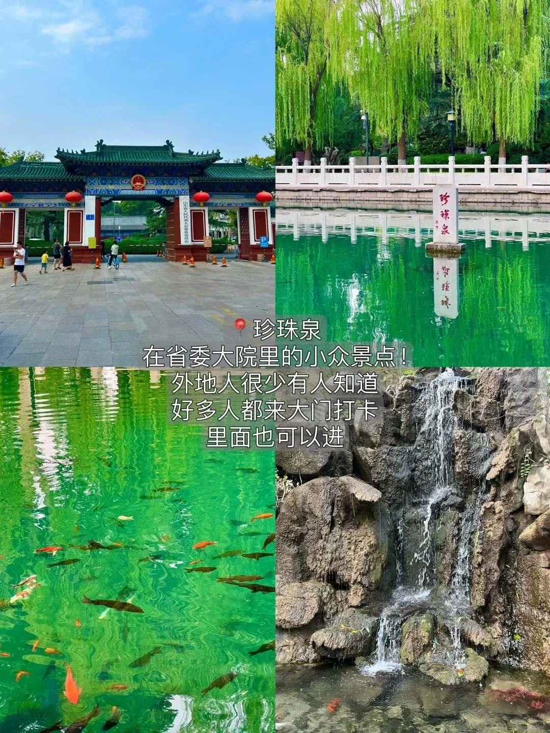 从济南回来，说点大实话😅😅😅