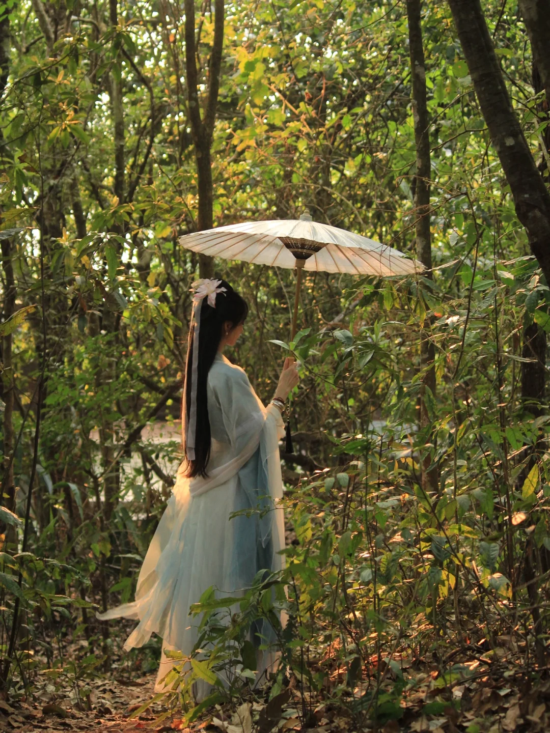 五一Get跑男同款🌿普洱茶马古