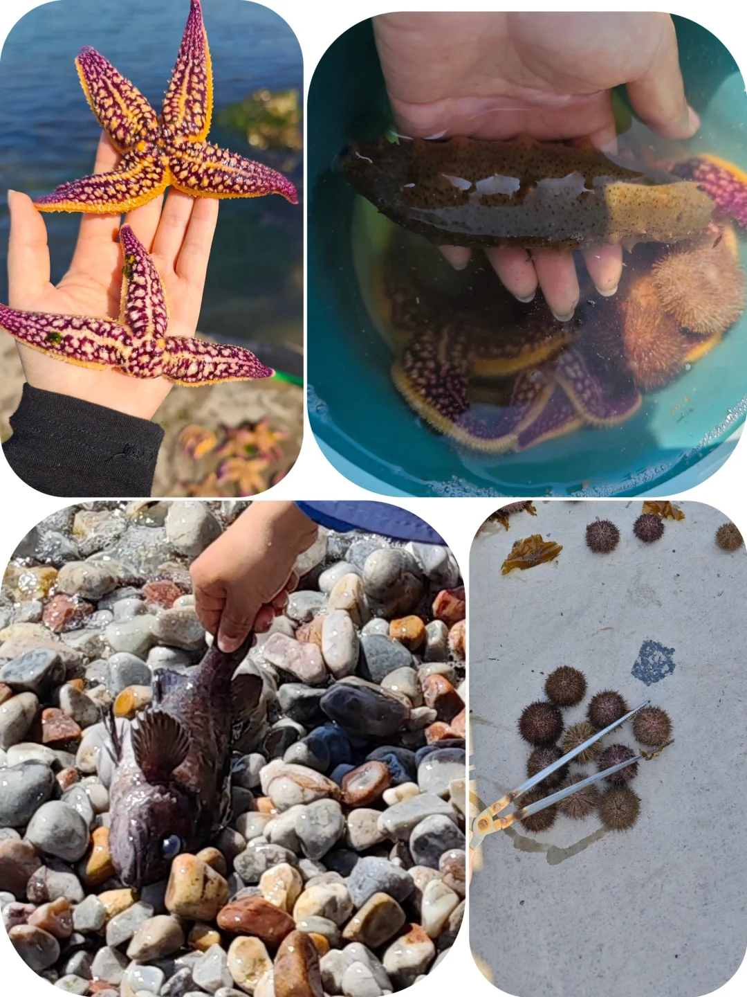 砣矶岛亲子旅游攻略