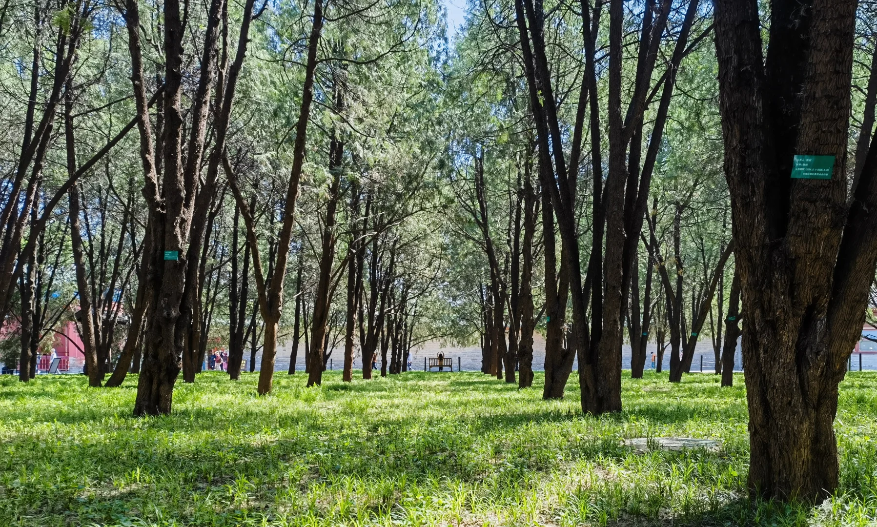『北京游』被爸妈夸的旅游攻略！！