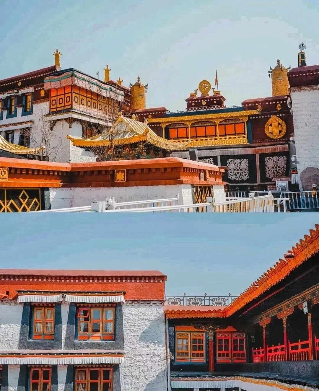 理塘 还想再去一次