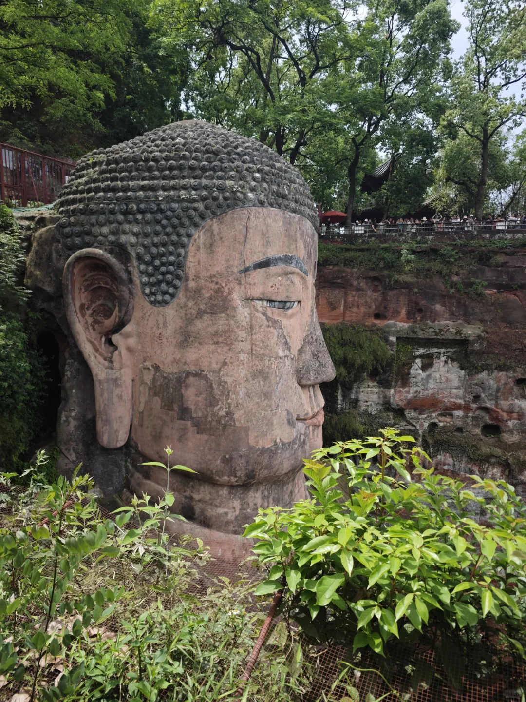 五一乐山大佛实况：人从众众众众众