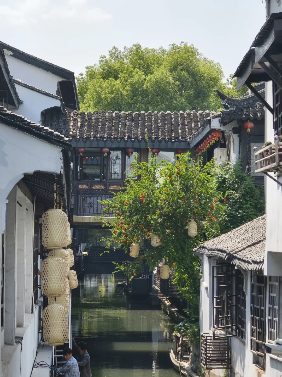 这不是镰仓，是全长393公里的太湖🌊